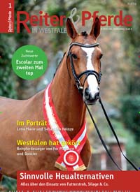 Reiter und Pferde in Westfalen
