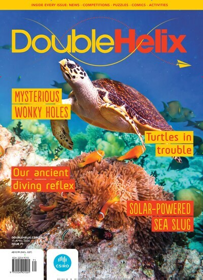 Titelbild der Ausgabe 3/2024 von Double Helix. Diese Zeitschrift und viele weitere Jugendzeitschriften und Kinderzeitschriften als Abo oder epaper bei United Kiosk online kaufen.