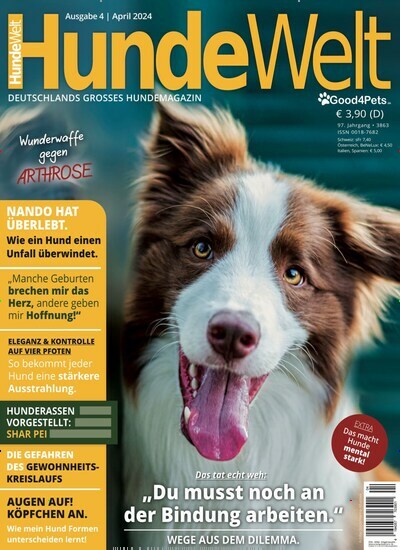 Titelbild der Ausgabe 4/2024 von Hundewelt. Diese Zeitschrift und viele weitere Elternzeitschriften und Tierzeitschriften als Abo oder epaper bei United Kiosk online kaufen.