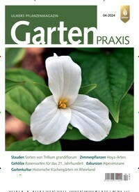 Titelbild der Ausgabe 4/2024 von Gartenpraxis. Diese Zeitschrift und viele weitere Naturzeitschriften, Landwirtschaftszeitungen und Umweltmagazine als Abo oder epaper bei United Kiosk online kaufen.