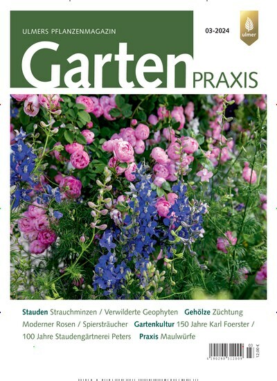 Titelbild der Ausgabe 3/2024 von Gartenpraxis. Diese Zeitschrift und viele weitere Naturzeitschriften, Landwirtschaftszeitungen und Umweltmagazine als Abo oder epaper bei United Kiosk online kaufen.