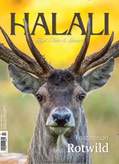 Titelbild der Ausgabe 2/2024 von Halali. Diese Zeitschrift und viele weitere Sportmagazine als Abo oder epaper bei United Kiosk online kaufen.