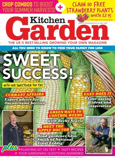 Titelbild der Ausgabe 5/2024 von Kitchen Garden. Diese Zeitschrift und viele weitere Gartenzeitschriften und Wohnzeitschriften als Abo oder epaper bei United Kiosk online kaufen.