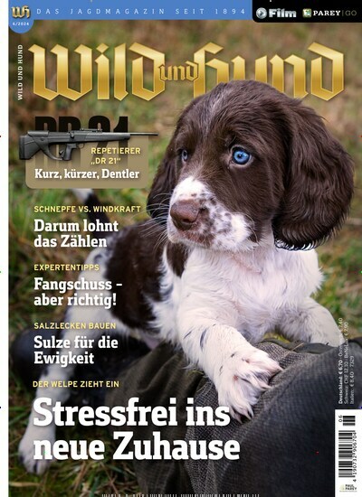 Titelbild der Ausgabe 6/2024 von Wild und Hund. Diese Zeitschrift und viele weitere Sportmagazine als Abo oder epaper bei United Kiosk online kaufen.