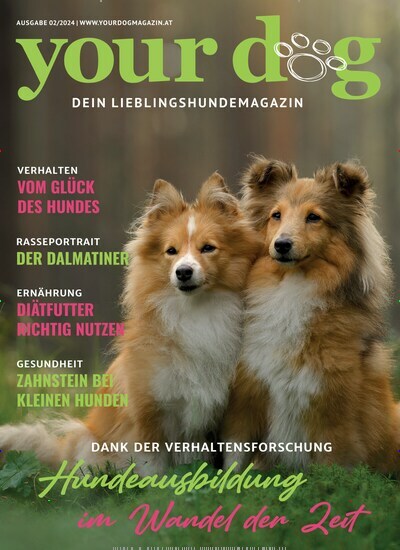 Titelbild der Ausgabe 2/2024 von your dog. Diese Zeitschrift und viele weitere Elternzeitschriften und Tierzeitschriften als Abo oder epaper bei United Kiosk online kaufen.
