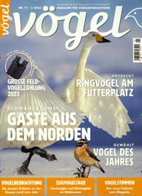 Titelbild der Ausgabe 1/2023 von Vögel - Magazin für Vogelbeobachtung. Diese Zeitschrift und viele weitere Elternzeitschriften und Tierzeitschriften als Abo oder epaper bei United Kiosk online kaufen.
